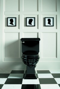 Toilet Installation Broomfield