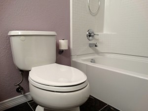 Toilet installaiton Westminster